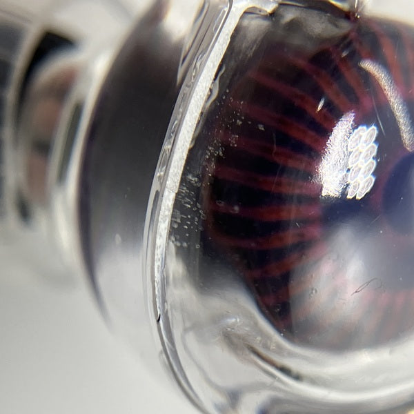 【中古】medusa【仙台】