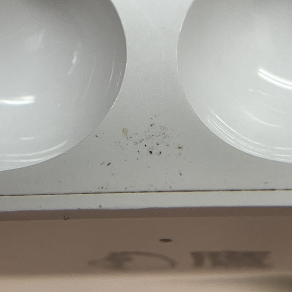 【中古】MagSafe充電ケース(USB-C)付きAirPods Pro(第2世代) MTJV3JA【秋葉原】