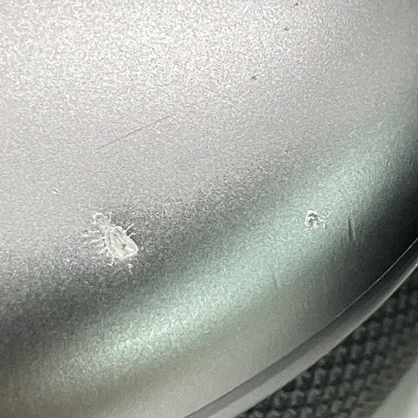 【中古】AirPods Max MGYH3J/A　ワイヤレスヘッドホン　スペースグレイ【秋葉原】