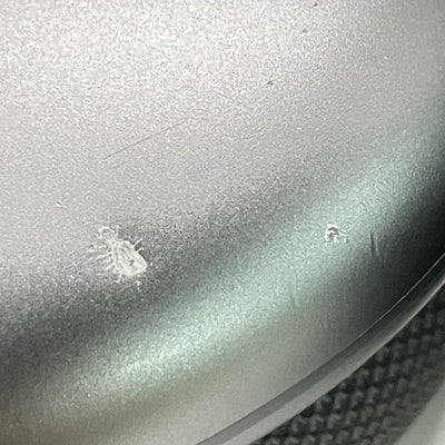 【中古】AirPods Max MGYH3J/A　ワイヤレスヘッドホン　スペースグレイ【秋葉原】