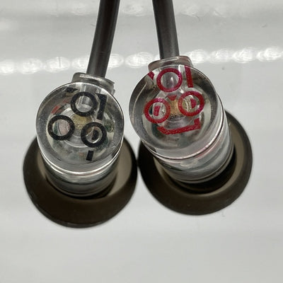 【中古】Quarks【秋葉原】