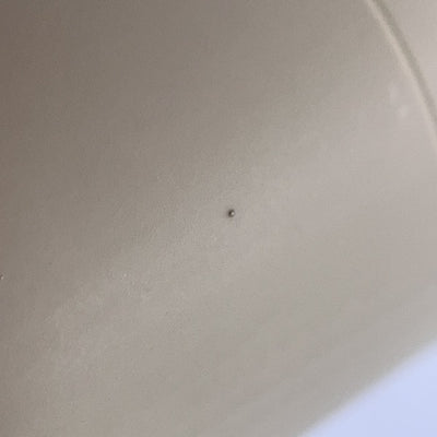 【中古】LinkBuds S 『原神』コラボレーションモデル【秋葉原】