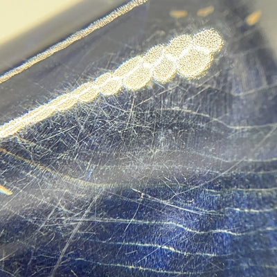 【中古】FoKus Prestige Blue 【NOB-FOKUSPST-L】【日本橋】