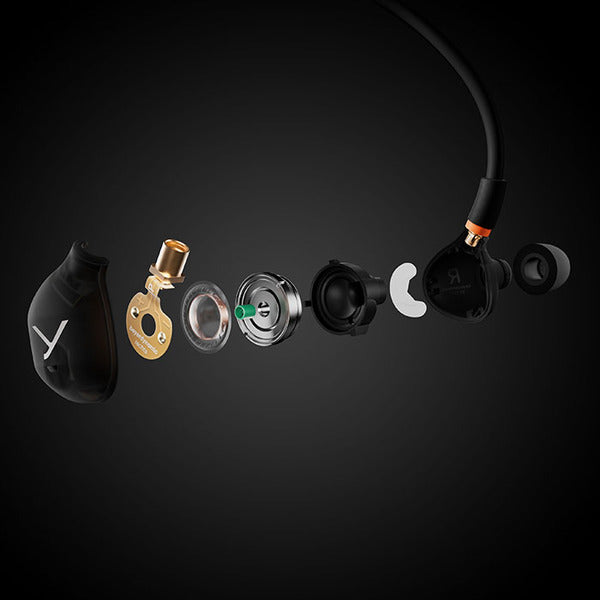 DT 72 IE Guitar & Voice