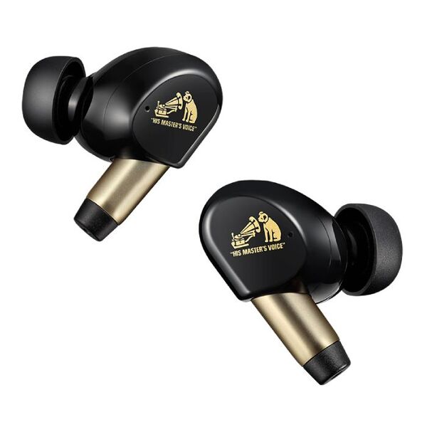 ☆新品未開封！Victor WOOD master HA-FW5000T-T Victor WOOD master HA-FW5000T – e☆イヤホン