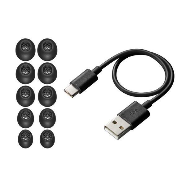 Victor WOOD master HA-FW5000T – e☆イヤホン