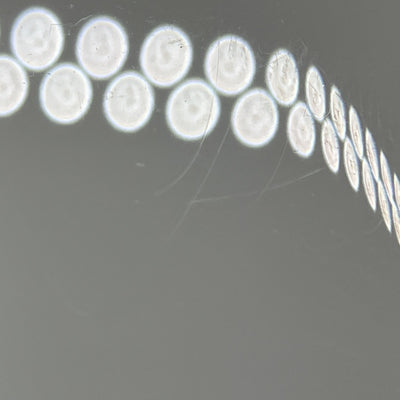 【中古】AirPods Pro 3 MFHP4J/A【秋葉原】