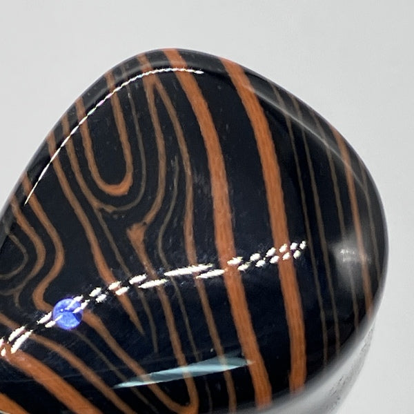 【中古】FoKus Triumph 【NOB-FOKUSTRH-B】【名古屋】