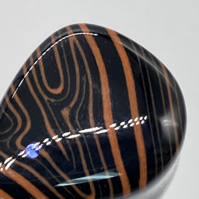 【中古】FoKus Triumph 【NOB-FOKUSTRH-B】【名古屋】