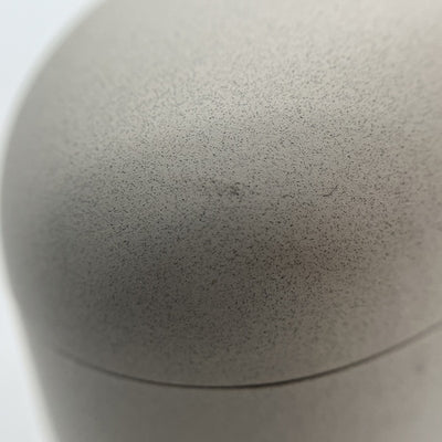 【中古】WF-1000XM5 S プラチナシルバー【秋葉原】