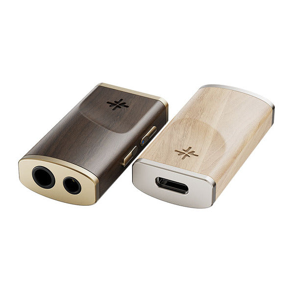 FIIO Snowsky MELODY – e☆イヤホン