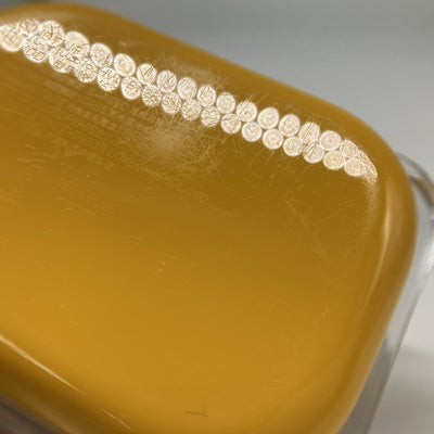 【中古】Nothing Ear (a)【秋葉原】