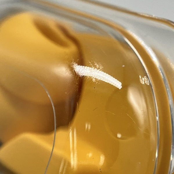 【中古】Nothing Ear (a)【秋葉原】