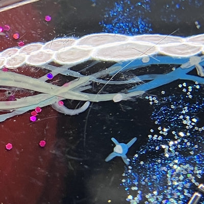 【中古】Hype 10【秋葉原】