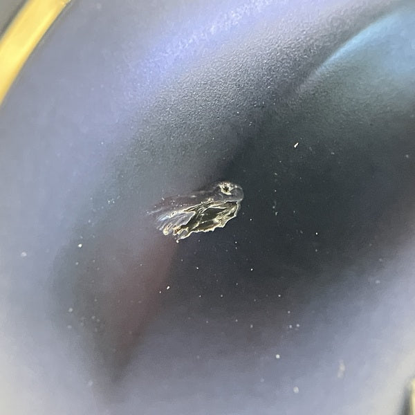 【中古】TE-W1 ネイビー【TE-W1-NV】【仙台】