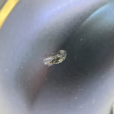 【中古】TE-W1 ネイビー【TE-W1-NV】【仙台】