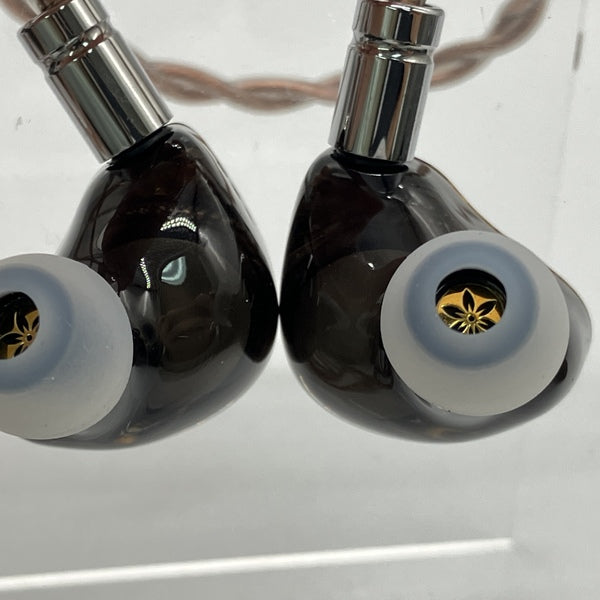 【中古】Aurora【名古屋】