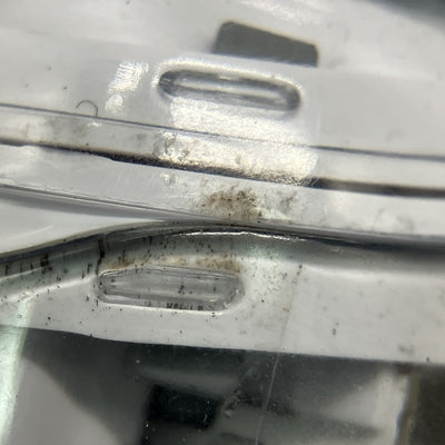 【中古】TUNE FLEX 2 ホワイト【JBLTFLEX2GWHT】【秋葉原】