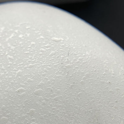 【中古】ZE8000 ホワイト 【FI-ZE8DPLTW-WHITE】【秋葉原】