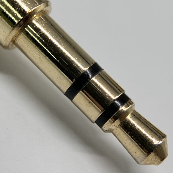 【中古】ZeTian Wu【名古屋】