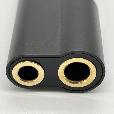 【中古】EarFun UA100【秋葉原】