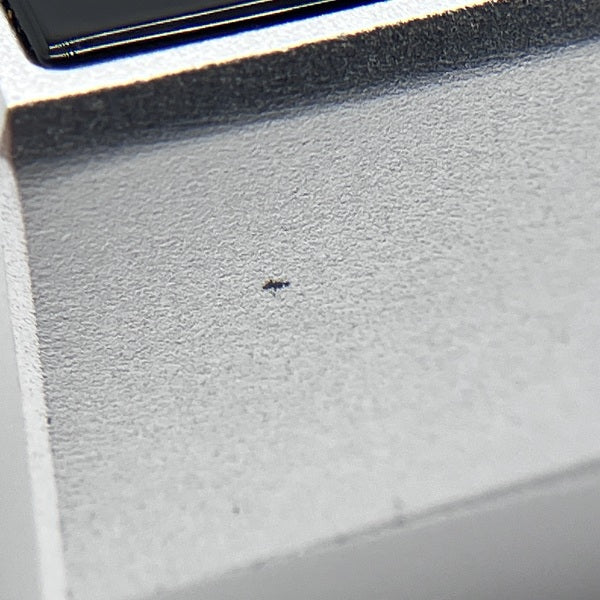 【中古】DX260MK2 SilverBlue【仙台】