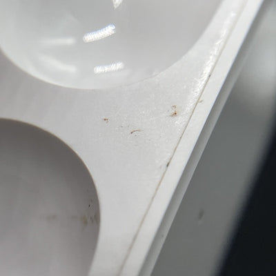 【中古】AirPods Pro MWP22J/A【名古屋】