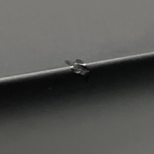 【中古】A2+ ワイヤレススピーカーシステム サテン・ブラックペイント【秋葉原】