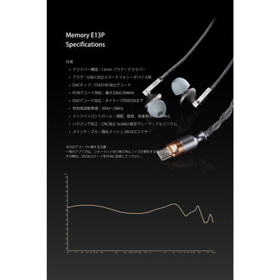 Memory E13P
