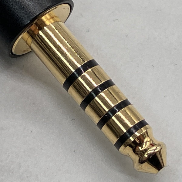 Epic Audio 【中古】Schizophrenia【秋葉原】 – e☆イヤホン