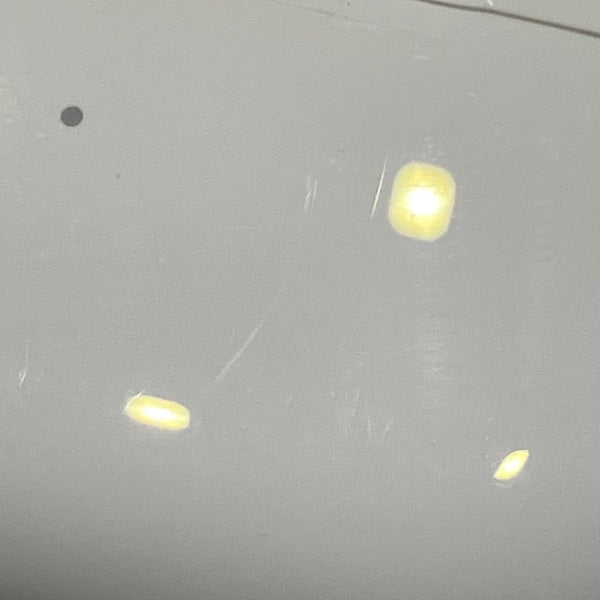 【中古】MagSafe充電ケース(USB-C)付きAirPods Pro(第2世代) MTJV3JA【秋葉原】