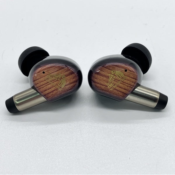 完全ワイヤレスイヤホン WOOD master サンバーストブラウン HA-FW5000T