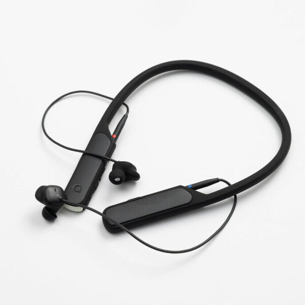 【アウトレット】Companion