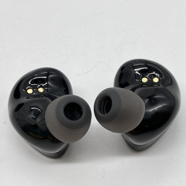 Noble Audio 【中古】FoKus PRO 【NOB-FOKUSPRO-B】【仙台】 – e☆イヤホン