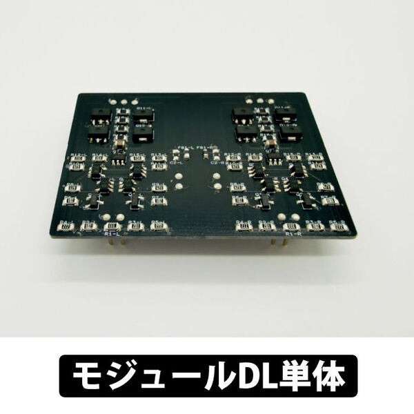 Riccia(リシア)専用　モジュールDL単体