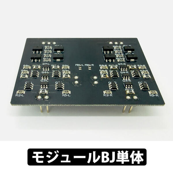 Riccia(リシア)専用　モジュールBJ単体