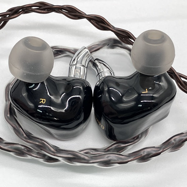 AFUL 【中古】DAWN-X (4.4mm)【秋葉原】 – e☆イヤホン