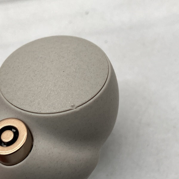 SONY 【中古】WF-1000XM4 SM プラチナシルバー【秋葉原】 – e☆イヤホン