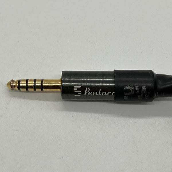 PW AUDIO 【中古】First Times with Shielding (4.4mm)【秋葉原】 – e