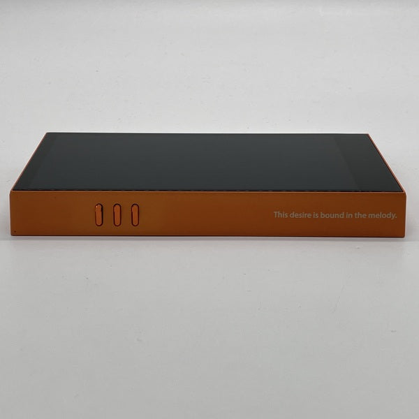 Astell&Kern 【中古】A&futura SE100 fripSide Edition 【AK-SE100-FSE