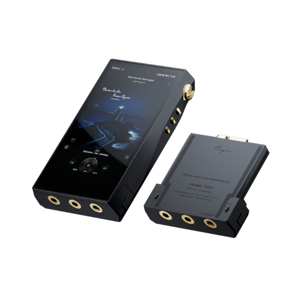 N6iii/T201【SPK-A006-T201】