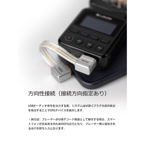 ddHiFi TC19LL – e☆イヤホン