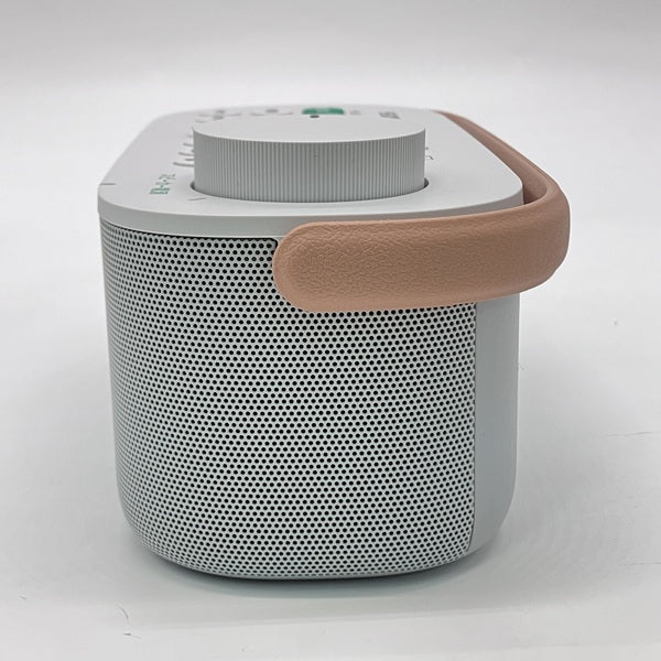 SONY 【中古】SRS-LSR200【秋葉原】 – e☆イヤホン