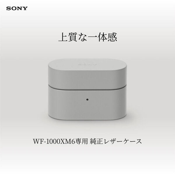 SONY WF-1000XM6専用ケースカバー – e☆イヤホン
