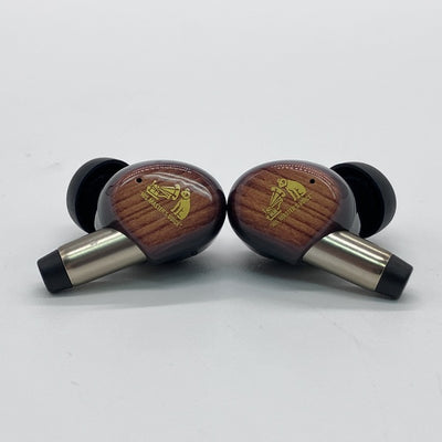 Victor 【中古】WOOD master HA-FW5000T-T サンバーストブラウン