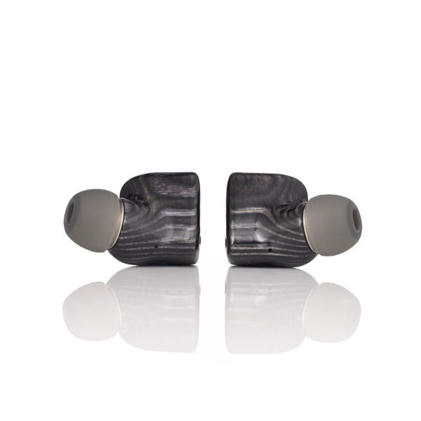 Noble Audio FoKus Prestige Encore – e☆イヤホン