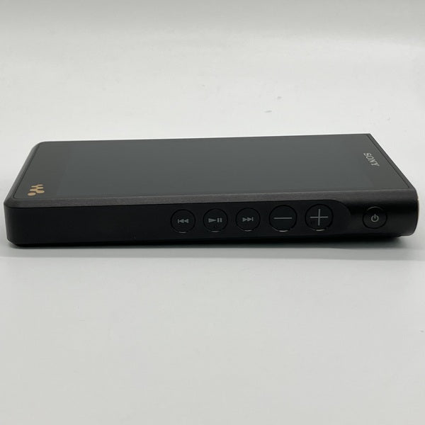 SONY 【中古】NW-WM1AM2【日本橋】 – e☆イヤホン