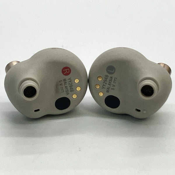 SONY 【中古】WF-1000XM4 SM プラチナシルバー【秋葉原】 – e☆イヤホン