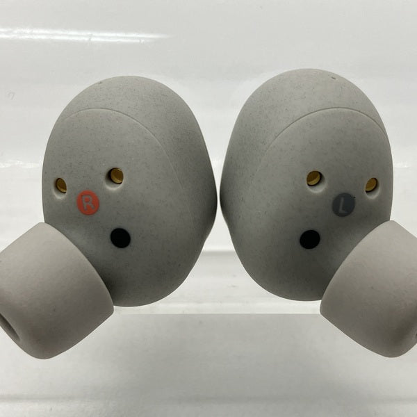 SONY 【中古】WF-1000XM6 SZ プラチナシルバー【秋葉原】 – e☆イヤホン