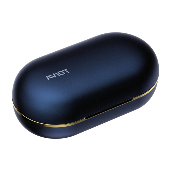 AVIOT TE-W2 – e☆イヤホン